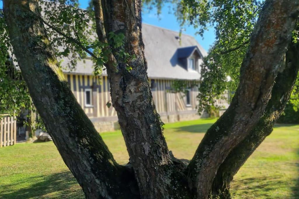 Maison A Colombages Pres De Deauville, Trouville Formentin Exteriér fotografie